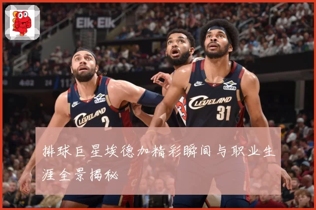 排球巨星埃德加精彩瞬间与职业生涯全景揭秘