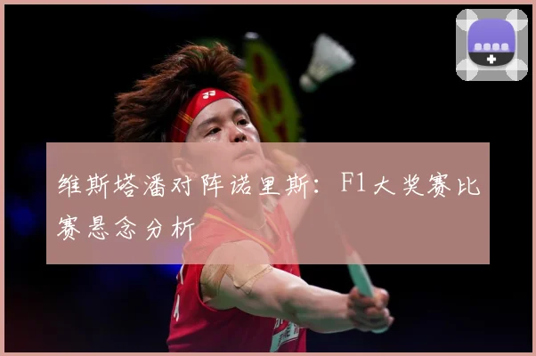 维斯塔潘对阵诺里斯：F1大奖赛比赛悬念分析