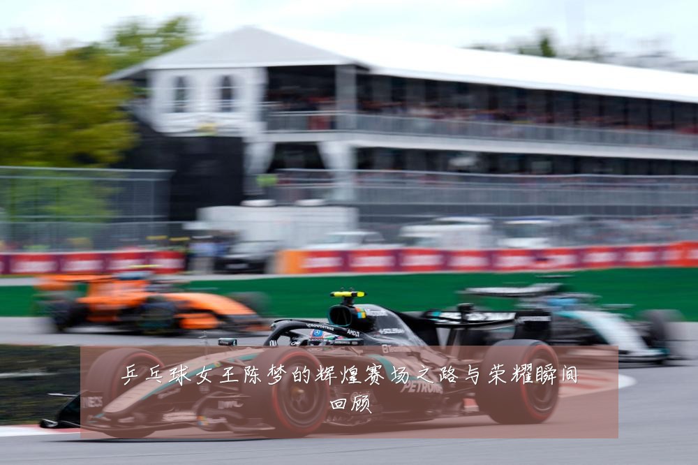 乒乓球女王陈梦的辉煌赛场之路与荣耀瞬间回顾